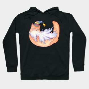 Magical Ginger Wizard Cat Hoodie